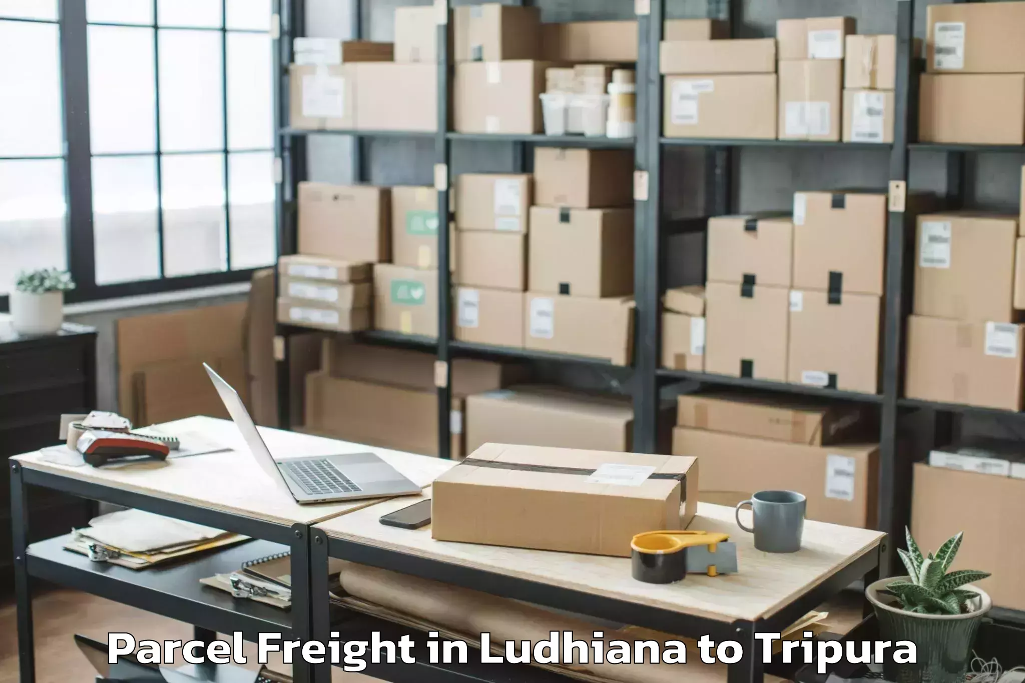 Book Ludhiana to Agartala Parcel Freight Online